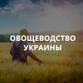 Овощеводство Украины 2024- полный список предприятий