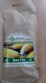 Семена сахарной кукурузы суперсладкая, сверхсахарная sh2-тип