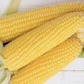 Продам кукурудзу 500 тонн, Житомирська обл, Андріївка