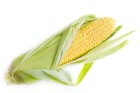 Продам кукурудзу 400 тонн, Київська обл, Яготин