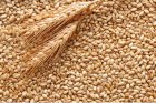 Сільгоспвиробник реалізовує пшеницю 4 клас