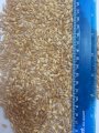 Продам насіння твердої пшениці