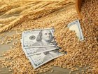 Закуповуємо зернові на умовах DAP, CPT Румунія 