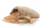 Продам пшеницю фураж 500-600 тонн, Черкаська обл, Степанівка