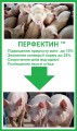 Перфектин - откорм свиней и реальная экономия корма до 25%