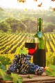 Вино Каберне,Мерло,Домашнее разливное вино 