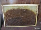Продам Пчелиная сушь (Бджолина суш)
