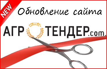 Обновление дизайна и функционала сайта