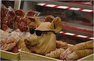 Россия хочет запретить поставки украинской свинины