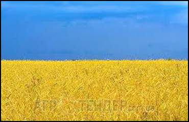 Украина соберет 55–62 млн т зерна — Павленко