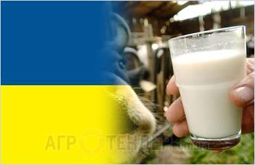Мясо-молочная продукция домашнего производства вернется на селянские рынки