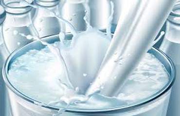 Экспорт масложировой продукции в ЕС возрастет в пять раз