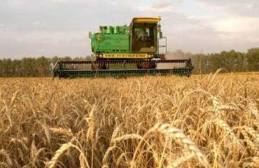 Украинский рынок зерновых будут регулировать зернотрейдеры и Госкомстат