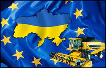 Украинский агросектор ждет падение на 8-10% — эксперт
