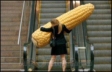 Украинские фермеры запросто могут получать урожайность кукурузы до 140 ц/га.