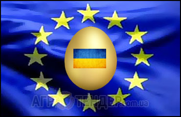 Производство яиц в Украине приведут к нормам ЕС