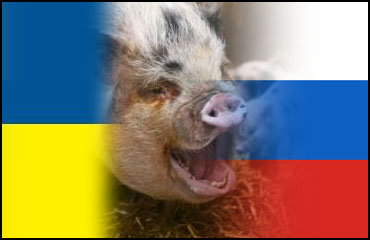 Россия разрешила ввоз свинины 4 украинским предприятиям