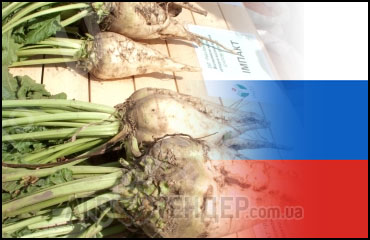 Уборка сахарной свеклы в РФ будет закончена до 30 ноября.
