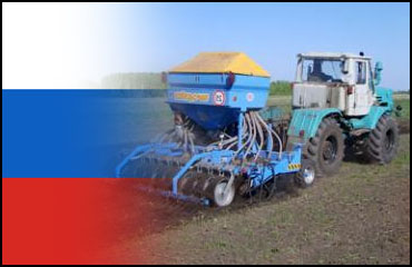 В январе-октябре экспорт пшеницы из России сократился на 26% - ФТС