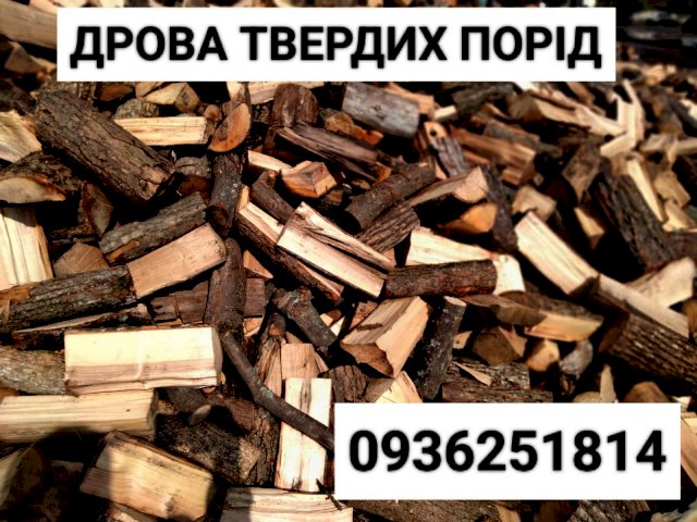 Продаємо дрова твердих та м'яких порід 
