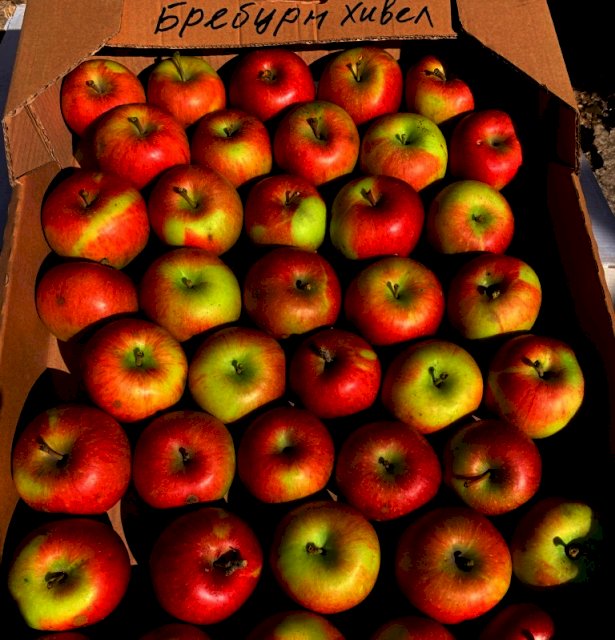 Продам яблоки оптом , Цена от 5 - до 7 грн.
