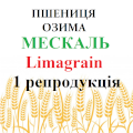 Семена озимой пшеници Мескаль Limagrain