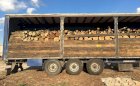Продам в больших количествах дрова твердых пород и дрова фруктовые  