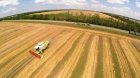 Наша компанія постійно закуповує сільськогосподарські культури