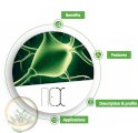 NEXULIN – кормова добавка для підвищення надоїв корів (ADM)