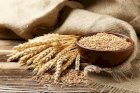 закупка пшеницы