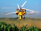 Інсектицидний захист кукурудзи вертольотами