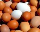 Куплю яйца куриные крупным оптом