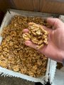 Купляємо грецький горіх 