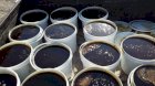 Продам мед гречка 1.5 т чорна та 2 т ріпака білого