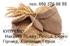 КУПЛЮ НАСІННЯ ЛЬОНУ