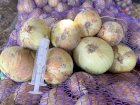 Продаж молодої цибулі