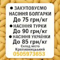 Закупівля гарбузового насіння