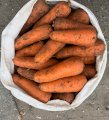 Продам морковь товарную оптом в Киевской области