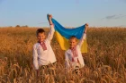 Купуємо постійно у виробників пшеницю 2,3, 