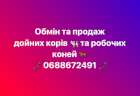 Обмін/продаж дойних корів та робочих коней 