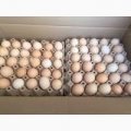 Продам яйцо куриное, C0, C1, C2, мелким оптом с доставкой.