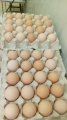 Продам яйце куряче, Одеська обл.
