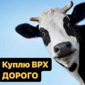 Купимо ВРХ дорого від 35 голів. На молоко та м'ясо