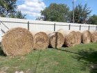 Продам пшеничную солому в тюках урожая 2024 года