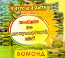 Акція! Посівмат соняшника Бомонд, фр. Екстра, урожай - 2024