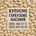 Закупка гарбузового насіння