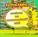Акція! Посівмат соняшника Альдазор, фр. Екстра, урожай 2024