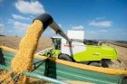 Куплю зерно Кукурудзи 1Ф По всій Україні