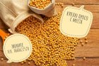 Куплю ПРОСО дорого с места