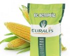 Розпродаж насіння кукурудзи Астероїд ЄС Євраліс